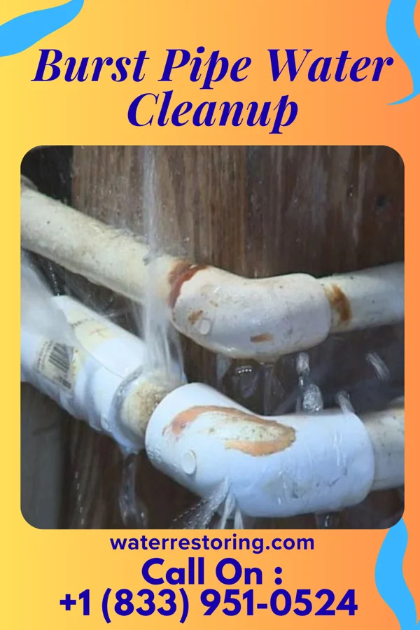 Burst Pipe Water Cleanup in Hudson, NC