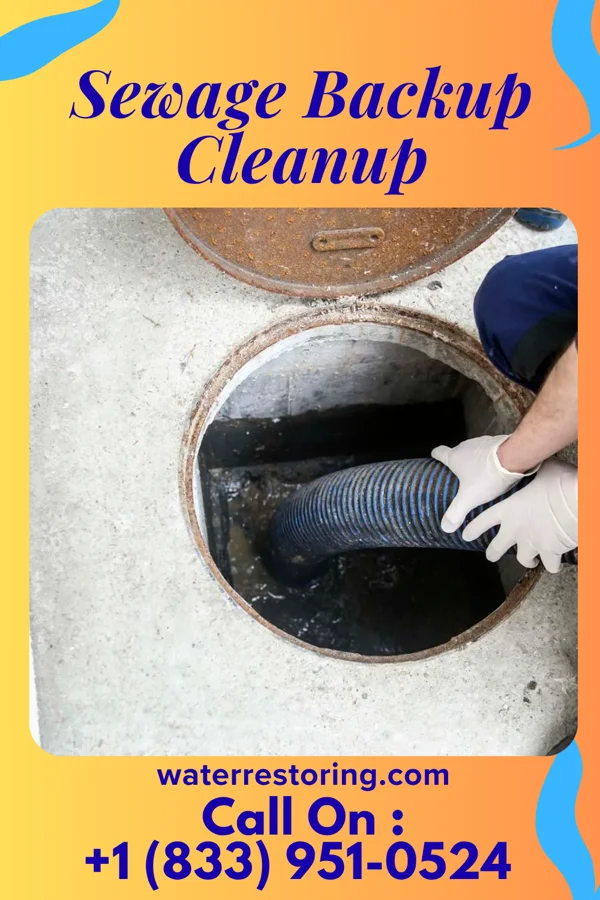 Sewage Backup Cleanup in Hudson, NC